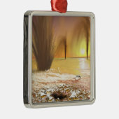 Het Zuidpoolijs van Martian Metalen Ornament (Rechts)