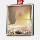 Het Zuidpoolijs van Martian Metalen Ornament (Links)