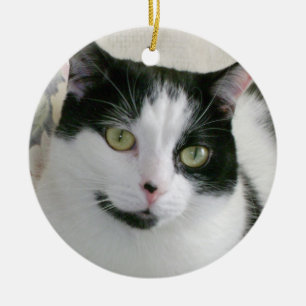 Het zwart-witte Ceramische Ornament van de Kat