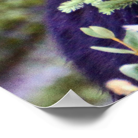 Het zwarte Beer is een staar Poster (Hoek)