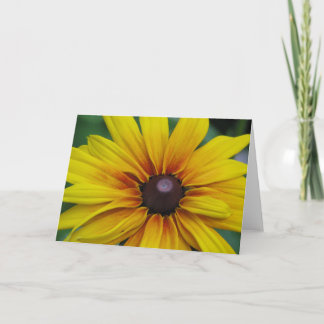 Het zwarte Eyed Wenskaart van Susan Flower Kaart