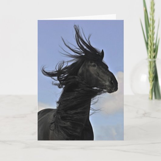 Het zwarte Friesian Portret van het Paard Kaart (Voorkant)