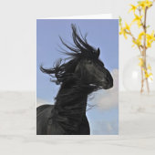 Het zwarte Friesian Portret van het Paard Kaart (Gele Bloem)
