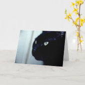 Het zwarte Gezicht van de Kat Kaart (Gele Bloem)