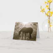 Het zwarte Heiligdom Notecard van het Wild paard Kaart (Gele Bloem)
