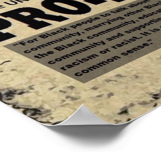 HET ZWARTE JOURNALE POSTER VAN DE STEL VAN DE WAL (Hoek)