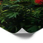 Het zwarte paard in een weelderig bos poster (Hoek)