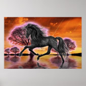 Het zwarte Stallion... fantasie afbeelding... Poster (Voorkant)