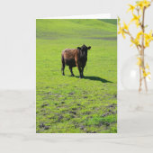 Het zwarte Wenskaart van de Koe, de Kaart van de (Gele Bloem)