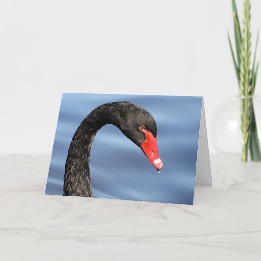 Het zwarte Wenskaart van de Schoonheid Kaart (Voorkant)