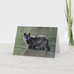 Het zwarte Wenskaart van de Wolf Kaart