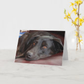 Het zwarte Wenskaart van het Laboratorium Kaart (Gele Bloem)