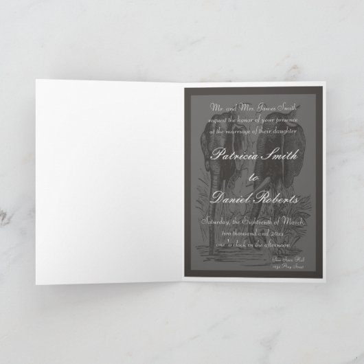 Het zwarte & Witte Huwelijk van de Olifant (Binnen)