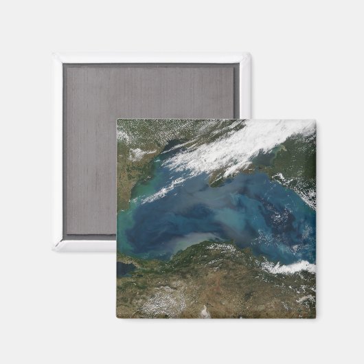 Het Zwarte Zee in Oost-Rusland Magneet (Voorkant / Achterkant)