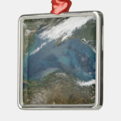 Het Zwarte Zee in Oost-Rusland Metalen Ornament (Links)