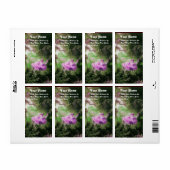 HET ZWEEKgroen paarse vioolvis Etiket (Full Sheet)