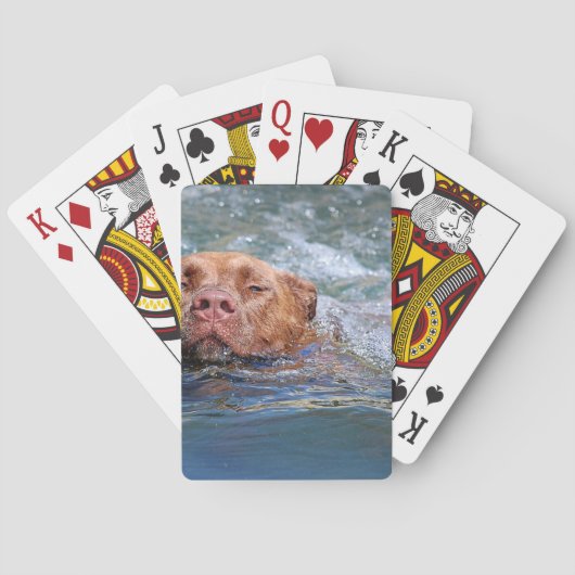 Het Zwemmen van de hond Pokerkaarten (Achterkant)