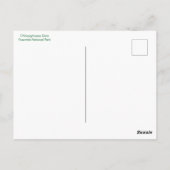 Hetch Hetchy's O'Shaughnessy Dam in Yosemite Briefkaart (Achterkant)