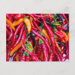 hete chilipepers op de boerenmarkt in Madison Briefkaart
