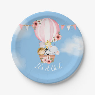 Hete Luchtballon Baby Meisje Douche Papier Bord