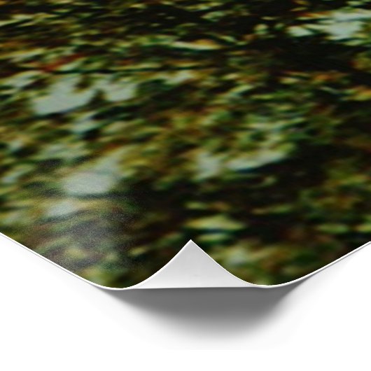 Hete luchtballon ga vol vertrouwen Thoreau citaat Perfect Poster (Hoek)