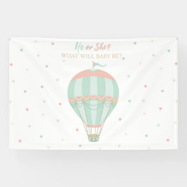 Hete luchtballon Geslacht onthullen Achtergrond Spandoek