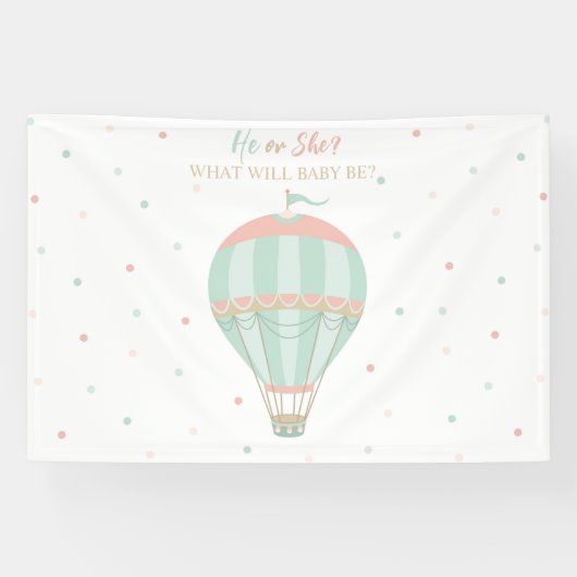 Hete luchtballon Geslacht onthullen Achtergrond Spandoek (Horizontaal)