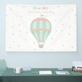 Hete luchtballon Geslacht onthullen Achtergrond Spandoek (Beurs)