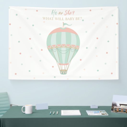 Hete luchtballon Geslacht onthullen Achtergrond Spandoek (Beurs)