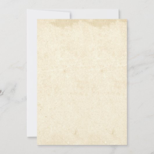 Hete luchtballon vintage bruiloft uitnodigingen (Achterkant)