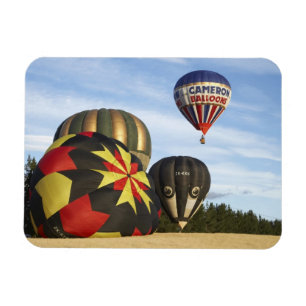 hete luchtballonnen bij Wanaka, Zuidereiland, Nieu Magneet