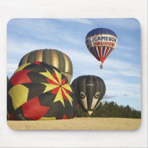 hete luchtballonnen bij Wanaka, Zuidereiland, Nieu Muismat