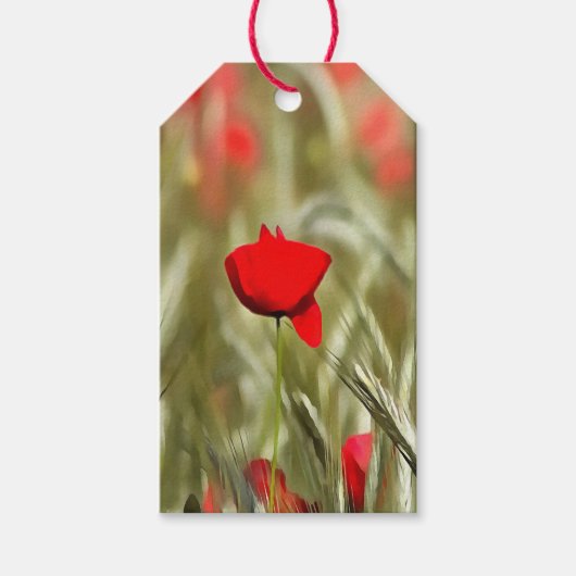Hete papaver acrylverf cadeaulabel (Voorkant)