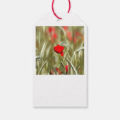 Hete papaver acrylverf cadeaulabel (Achterkant)