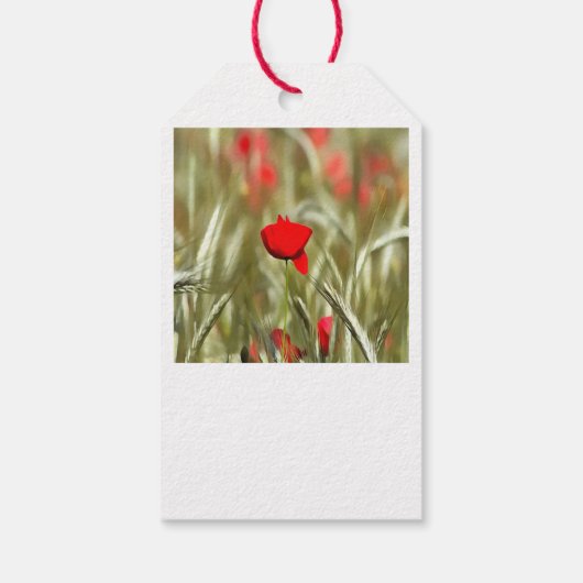 Hete papaver acrylverf cadeaulabel (Achterkant)