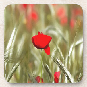 Hete papaver acrylverf drankjes onderzetter