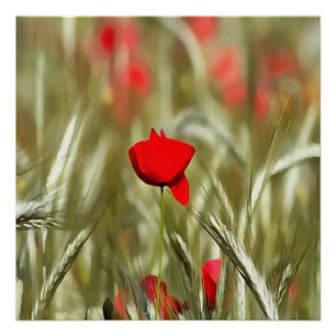 Hete papaver acrylverf poster