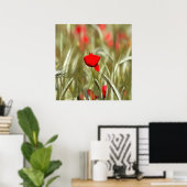 Hete papaver acrylverf poster (Thuiskantoor)