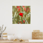Hete papaver acrylverf poster (Keuken)