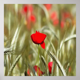Hete papaver acrylverf poster