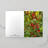 Hete pepers voor Hot Chili! Folie Wenskaart (Buiten Laag)