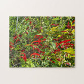 Hete pepers voor Hot Chili! Legpuzzel (Horizontaal)