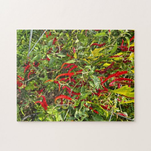 Hete pepers voor Hot Chili! Legpuzzel (Horizontaal)