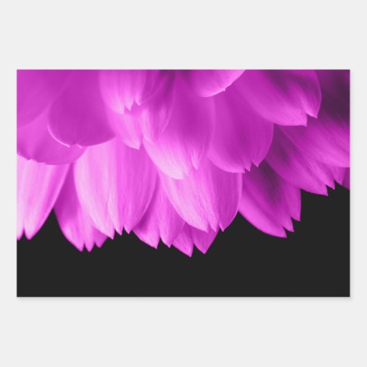 Hete roze bloemblaadjes op zwart inpakpapier vel (Voorkant 3)