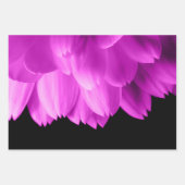 Hete roze bloemblaadjes op zwart inpakpapier vel (Voorkant)