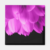 Hete roze bloemblaadjes op zwart magneet (Voorkant)