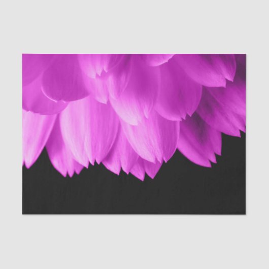 Hete roze bloemblaadjes op zwart tissuepapier (Voorkant)