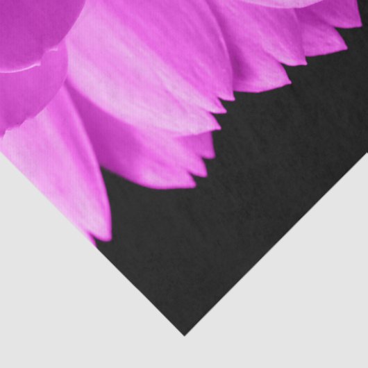 Hete roze bloemblaadjes op zwart tissuepapier (Detail)