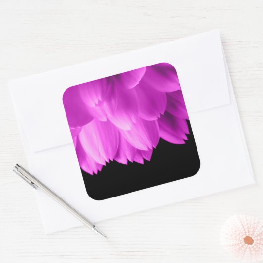 Hete roze bloemblaadjes op zwart vierkante sticker (Envelop)