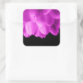 Hete roze bloemblaadjes op zwart vierkante sticker (Tas)